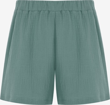 FRESHLIONS Shorts in Grün: Vorderseite