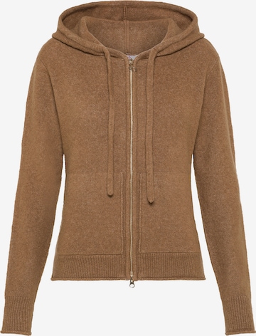 DEHA Sweatshirt in Brown: front