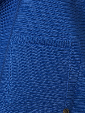 Rabe Sweater in Blue