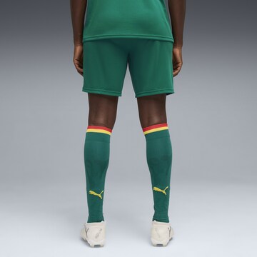 PUMA Regular Sports trousers 'Senegal' in Green