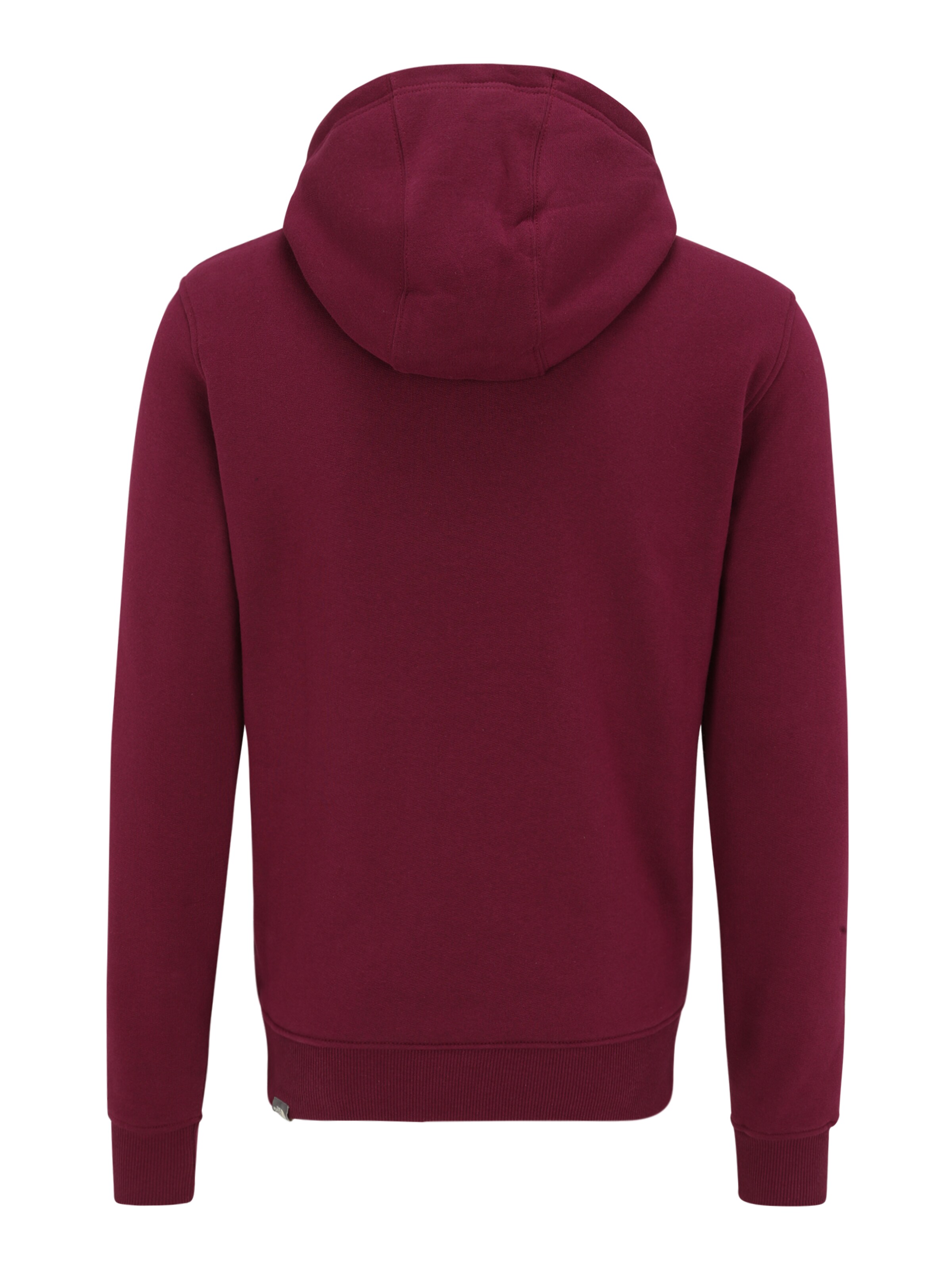 THE NORTH FACE Средняя посадка Свитшот 'Drew Peak' в Лиловый