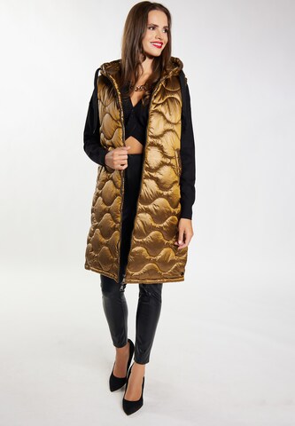 Gilet faina en marron