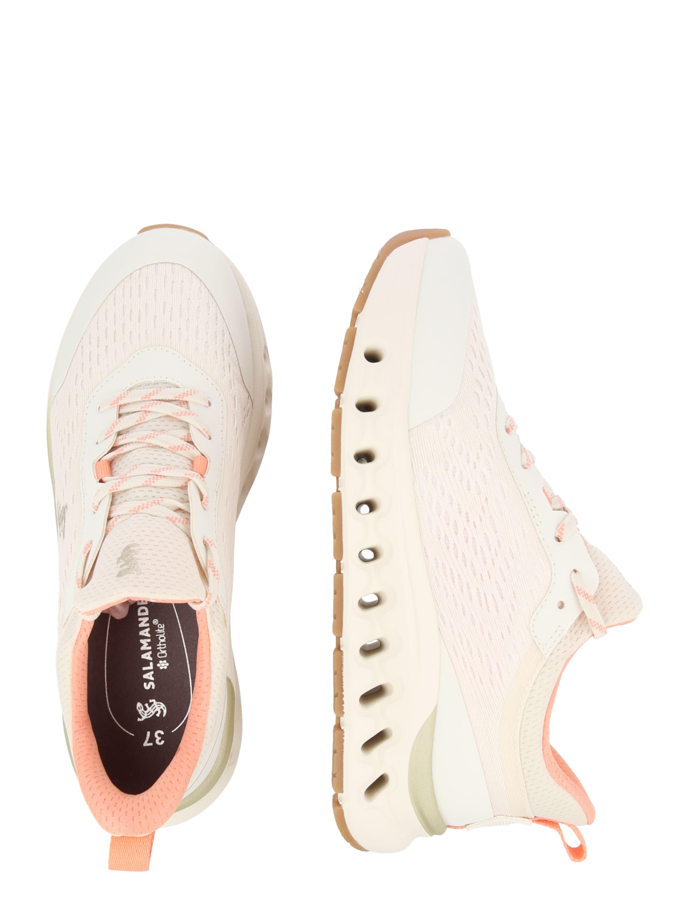 SALAMANDER - Sapatilhas baixas em branco