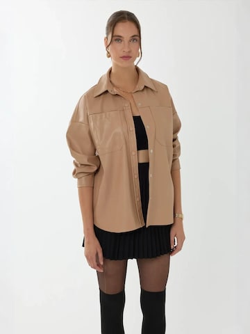 Hiccup Blouse in Brown