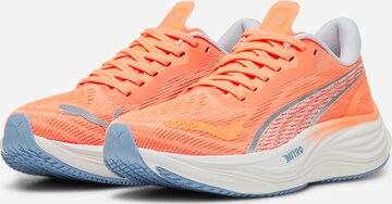 oranžinė PUMA Bėgimo batai 'Velocity Nitro 3'