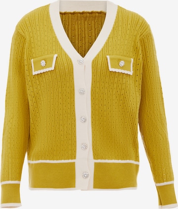 NALLY Knit Cardigan in Yellow: front