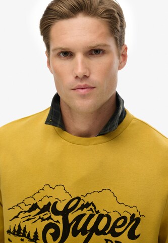 Superdry Sweatshirt in Geel