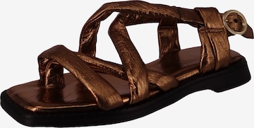 Tongs 'Masha' MJUS en marron : devant