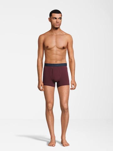 AÉROPOSTALE Boxershorts in Grau