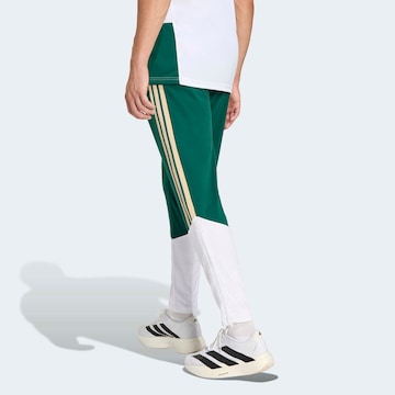 ADIDAS PERFORMANCE - Tapered Pantalón deportivo 'FIGC TR PNT' en verde