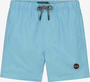 Shiwi Board Shorts 'Mike' in Blue: front