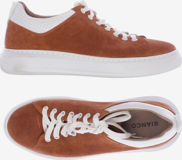 Bianco Sneakers & Trainers in 38 in Brown: front