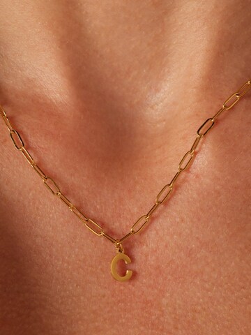 Lucardi Necklace in Gold