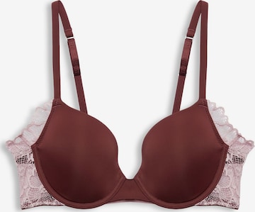 ESPRIT T-shirt Bra in Brown: front