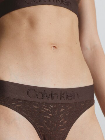 Calvin Klein Underwear Thong in Brown