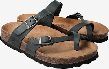 Infradito 'Bonn' di Neu-B in grigio: frontale