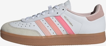 ADIDAS PERFORMANCE Athletic Shoes 'Velosamba' in White: front