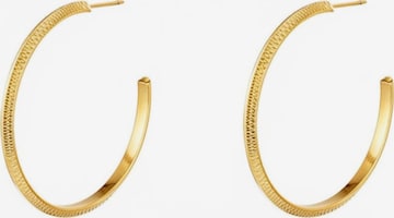 Cala Rose Ohrringe 'DIAMOND' in Gold: Vorderseite