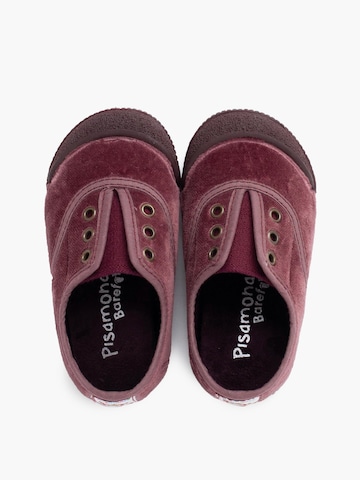 Pisamonas Sneakers in Pink