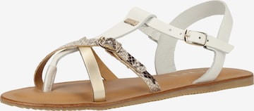 SCAPA T-Bar Sandals in White: front