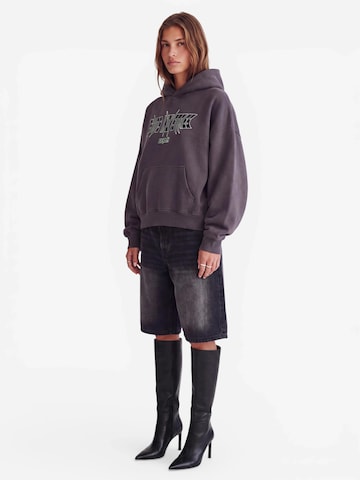 SUITS INDUSTRIES™ Sweatshirt 'Spike Hoodie Anthrazit'‌‌‌ in Grau