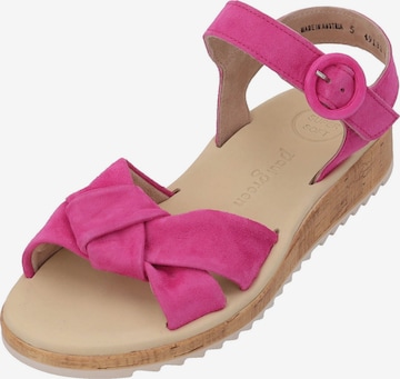 Paul Green Sandals '6105' in Pink: front