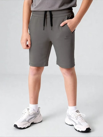 regular Pantaloni di Tommy Life in grigio