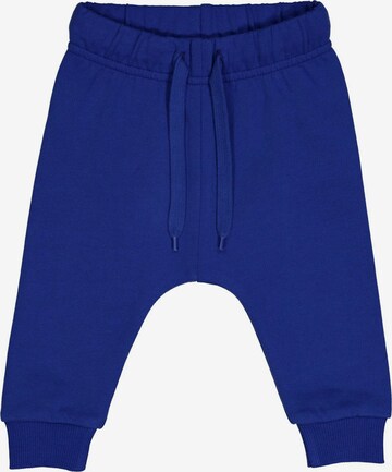 Fred's World by GREEN COTTON Regular Pants in Blue: front