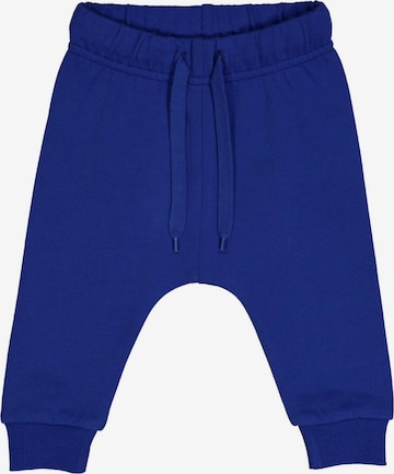 Pantalon Fred's World by GREEN COTTON en bleu : devant