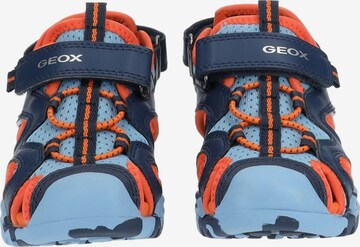 GEOX Offene Schuhe in Blau