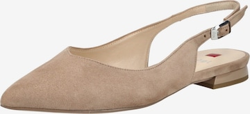 Ballerines Högl en beige : devant