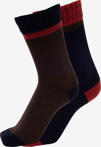 SELECTED HOMME Socken in Rot: predná strana