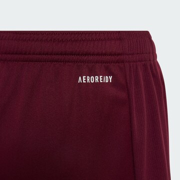 ADIDAS SPORTSWEAR Regular Sportbroek 'Essentials' in Rood