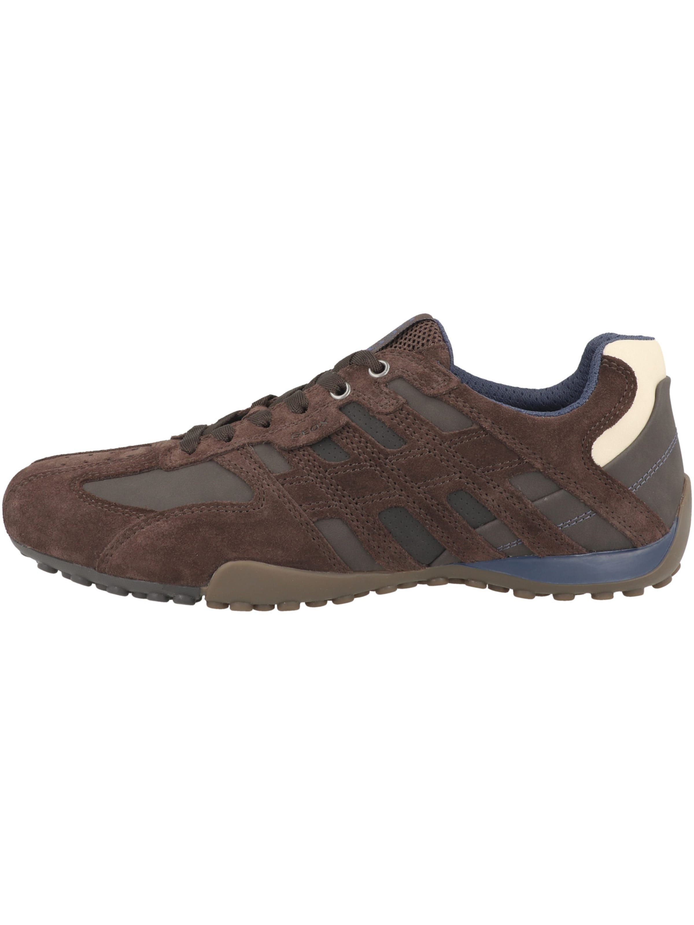 GEOX Sneaker in Braun