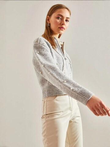 Cardigan 'Strickjacken' Bianco Lucci en gris