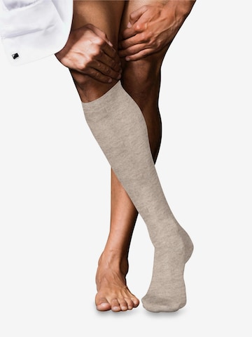 FALKE Knee High Socks 'No. 9 Pure Fil d´Écosse' in Beige: front