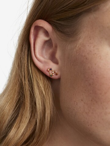 P D PAOLA Earrings 'Leo' in Gold: front