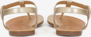 Kazar T-Bar Sandals in Gold