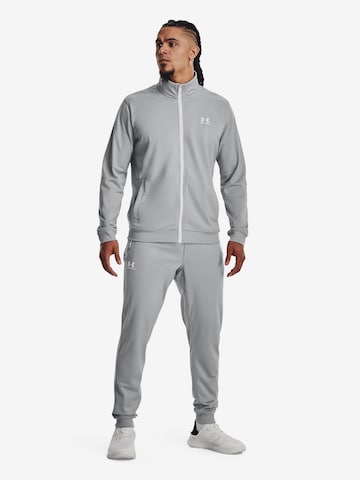 UNDER ARMOUR - Tapered Pantalón deportivo en gris