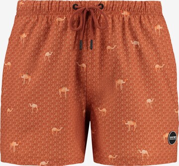 Shorts de bain Shiwi en marron : devant