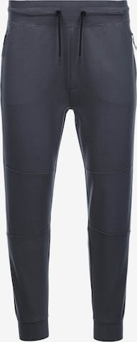 Regular Pantalon 'PASK-0142' Ombre en gris : devant