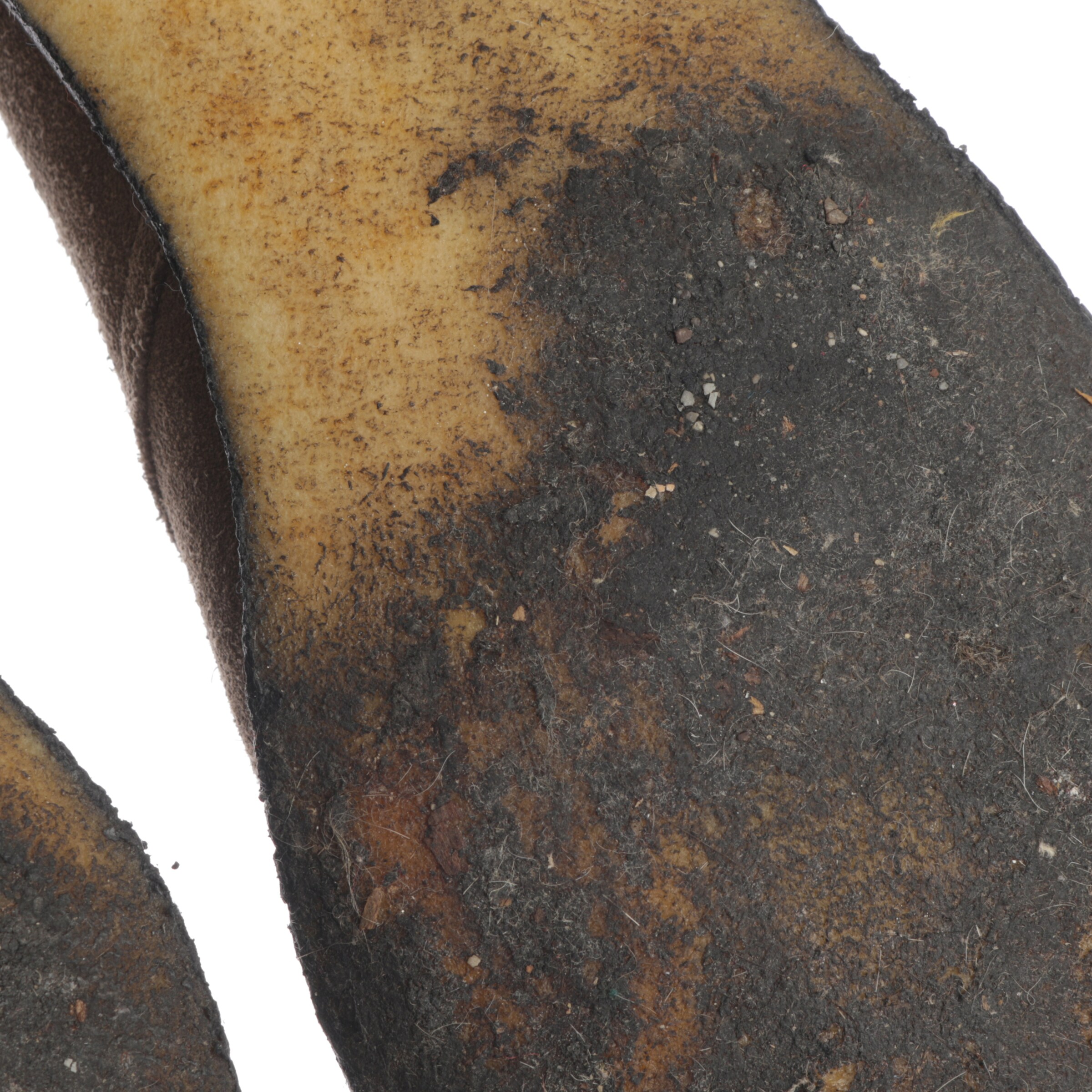 Church's Anke & Mid-Calf Boots in 43 in Black