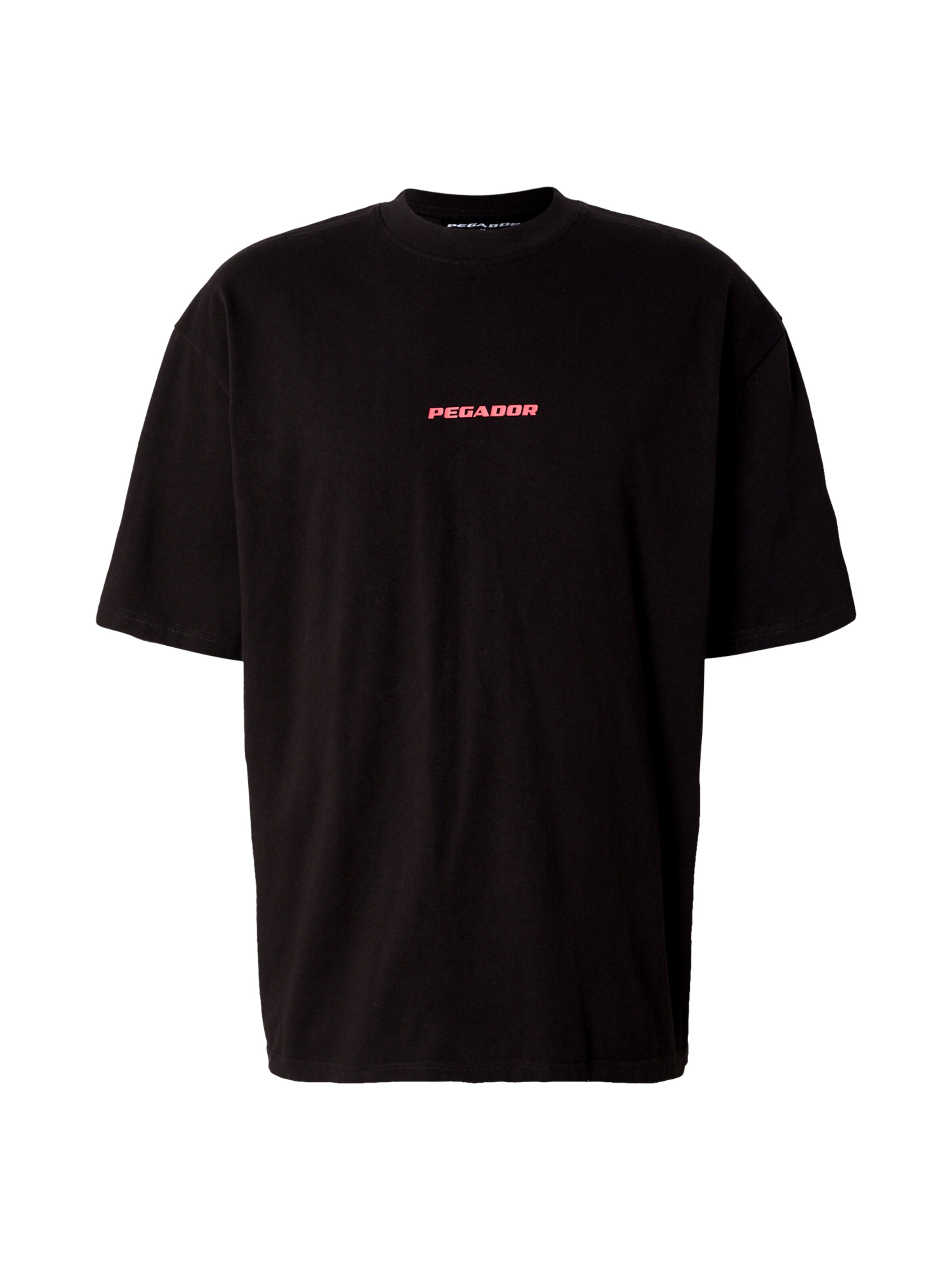 Pegador Футболка 'PGDR Colne Logo Oversized Tee' в Черный: спереди