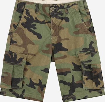 GAP Regular Shorts in Grün: predná strana