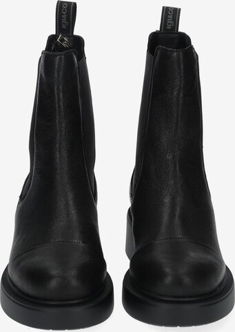 IGI&CO Chelsea Boots in Schwarz