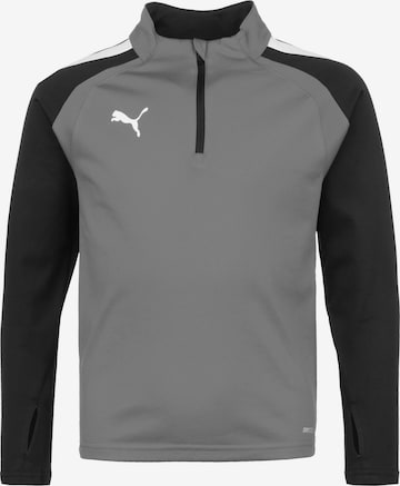 PUMA Sportsweatshirt 'LIGA' in Grau: predná strana