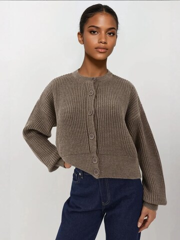 Hiccup Knit Cardigan in Brown: front