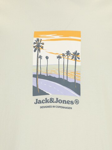 Jack & Jones Plus Μπλουζάκι 'JORSPLIT' σε πράσινο