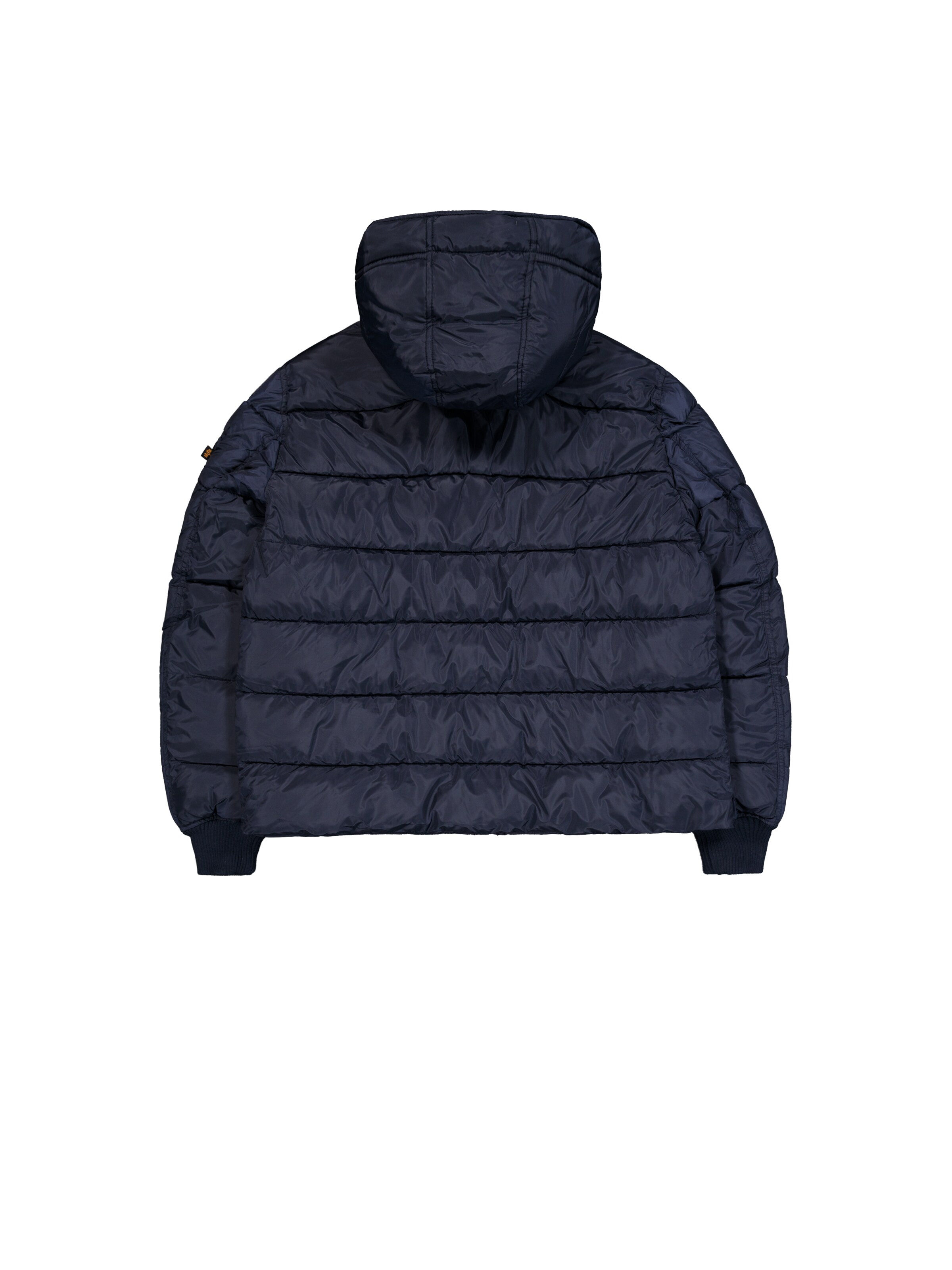 ALPHA INDUSTRIES Winter Jacket 'Alpha FD' in Blue