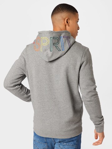 ESPRIT Sweatshirt in Grau